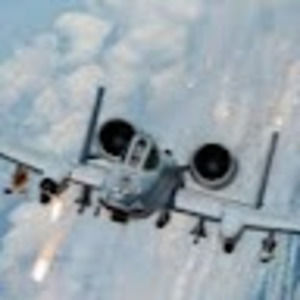 Meet your Posher, Max